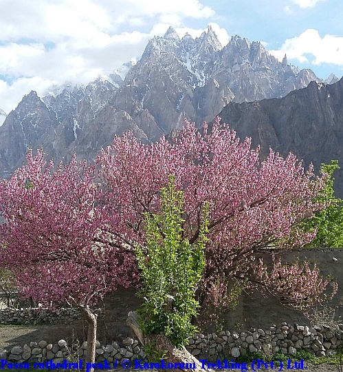 T11_Passu cathedral peak.jpg wird geladen