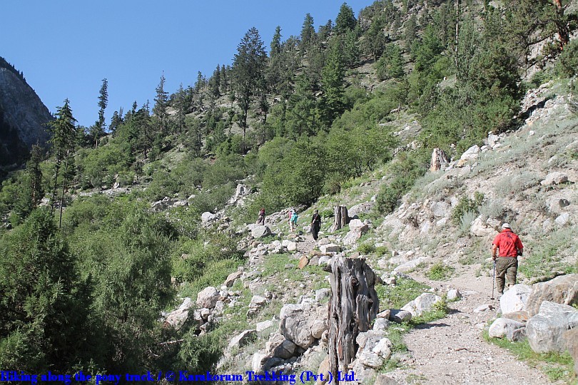 T1_Hiking along the pony track.jpg wird geladen