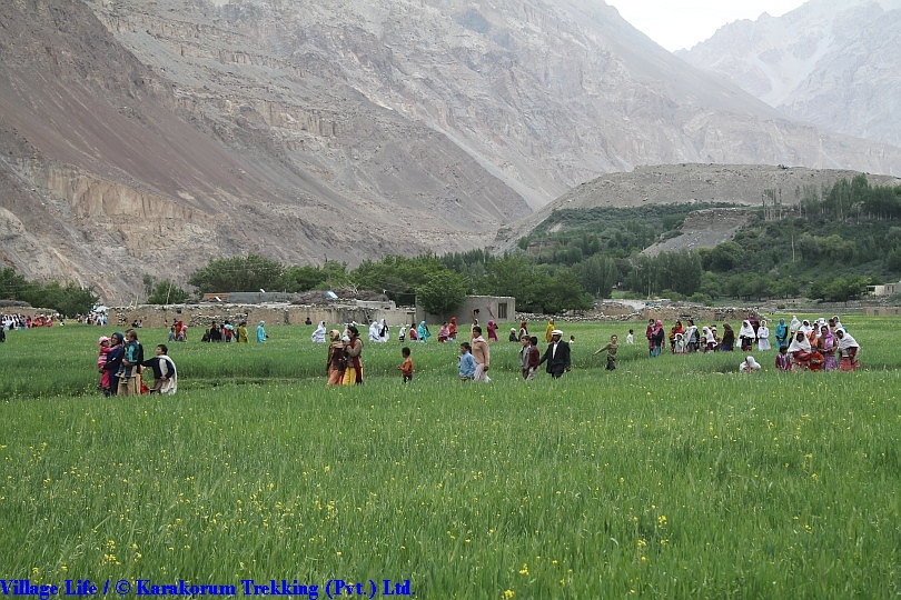 T2_Village Life.jpg wird geladen