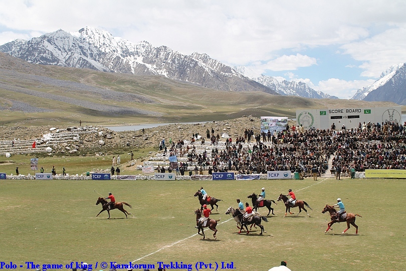 T4_Polo - The game of king.jpg wird geladen