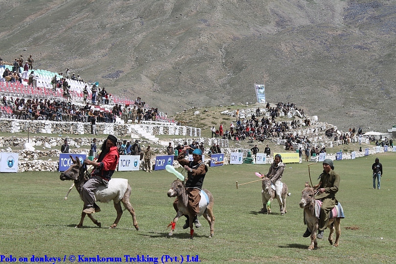 T4_Polo on donkeys.jpg wird geladen