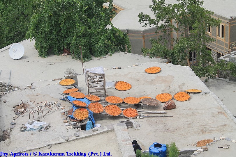 T7_Dry Apricots.jpg wird geladen