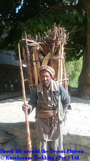 T8_Harsh life around the Deosai Plateau.jpg wird geladen