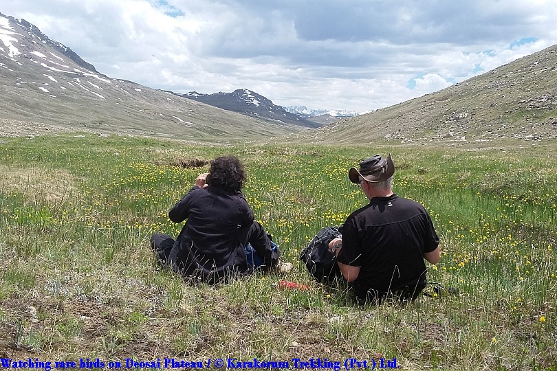 T8_Watching rare birds on Deosai Plateau.jpg wird geladen